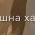 Асхаб Вахарагов 2021