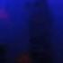 FEVER RAY Keep The Streets Empty For Me Live In Luleå