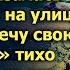 Подарив сыну с невесткой квартиру Ольга оказалась под забором на улице А услышав