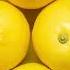 Lemons Song Fun Kids Song FunProduceSongs