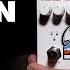 Electro Harmonix Grand Canyon Delay Looper Pedal Demo By Bill Ruppert