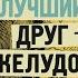 Проект Северная Карелия Фрагмент из книги Елены Мотовой Мой лучший друг желудок