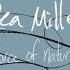 Bea Miller Force Of Nature Audio Only