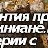 История 6 класс 6 Византия при Юстиниане Борьба империи с внешними врагами