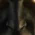 TITAN QUEST RAP Dan Bull