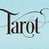 TAROT November 2024