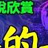 莫言的中篇小說欣賞 司令的女人 莫言 小說 聽書 小說 聽書 散文 美文