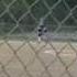 Fastpitch World Series Amazing Double Play