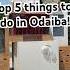 Top 5 Things To Do In Odaiba