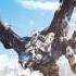 Horizon Zero Dawn Main Theme Extended