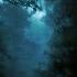 Book Trailer Sisters The New Thriller By Bernard Minier