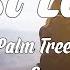 Palm Trees X MdL X Abi F Jones Fast Lane Lyrics