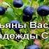 Замарашки Караоке Слова Татьяны Васенцевой Музыка Надежды Степановой