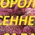 Очиток видный Неприхотливый и красивый