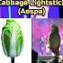 Rarest Lightsticks From Kpop Groups Kpop Shorts