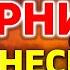 Молитвы вечерние от Вознесения до Троицы Молитвы на сон грядущим от Вознесения до Троицы