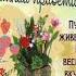 С добрым утром четверга