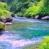 Tranquil River Sounds Flowing Through A Serene Forest For Sleep Relaxation Focus Meditation