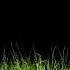 Animated Grass Motion Black Screen Background GIF Animated Grass Green Screen GIF