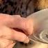 Gerda The Cheetah And Her Fortune Telling Ask A Question And See The Answer