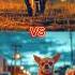 Hyena Vs Kangal Vs Pitbull Vs Alabai Dog Vs Chihuahua American Bully White Lion Doberman