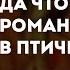 Pyrokinesis Да что романтичного в птичках караоке минус инструментал