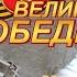 Майский вальс поет Вячеслав Абросимов