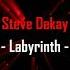 Steve Dekay Labyrinth