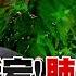 中共病毒外交 貿易戰以拖待變 美國轟炸機飛香港 川習瀕臨開戰 AIT呼籲台灣全面備戰 2020 03 28 年代向錢看 週末精選