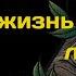 Ванга объяснила зачем в нашу жизнь приходят люди определенных знаков зодиака