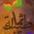 شاهد منظومة رائعة جدا عن الطبخ ووصية للنساء