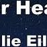 Karaoke OverHeated Billie Eilish No Guide Melody Instrumental