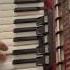 Chanaparh Aram Asatryan Accordion