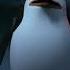 TIMON AND PUMBAA INTERRUPT 7 PENGUINS OF MADAGASCAR