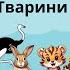 Дивовижний світ птахів та тварин Розвиваючі відео для дітей Навчальні Флеш Картки