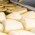 How Italian Parmesan Wheel Of Cheese Is Made King Of Cheese 1000 Per Wheel Making In Factory