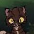 Just Don T Look At Him