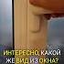 Как вам вид из окна Тула ГостиницаАрмения горелов живупетляю