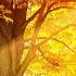 Gentle Autumn Melody With Sad Notes For Soul Piano TIME TO RELAX