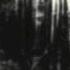 Cropsey Erzeugt