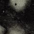 Grouper Alien Observer