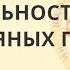 Сакральность берестяных грамот Умнов Денисов Алексей