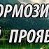 Затормози ум и дай проявиться реальности Роберт Адамс НикОшо