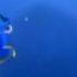 Dory E Il Balenese Alla Ricerca Di Nemo ITA