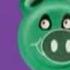 Zoopals G Major