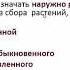 Корсун Елена Владимировна Фитотерапия папилломавирусной инфекции