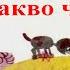 РАН БОСИЛЕК ПАТИЛАНЧО 1 Баба Цоцолана 2 Какво чудо стана