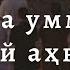 Шайх Усмон ал Хомис Нега уммат бундай аҳволда