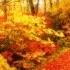 Nat King Cole Autumn Leaves