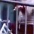 Утренняя гимнастика Из фильма Если верить Лопотухину За кадром поёт Владимир Высоцкий 1983